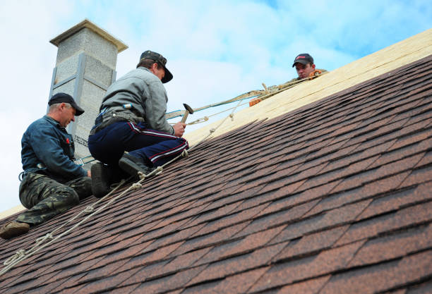 Quick and Trustworthy Emergency Roof Repair Services in Lexington, NE