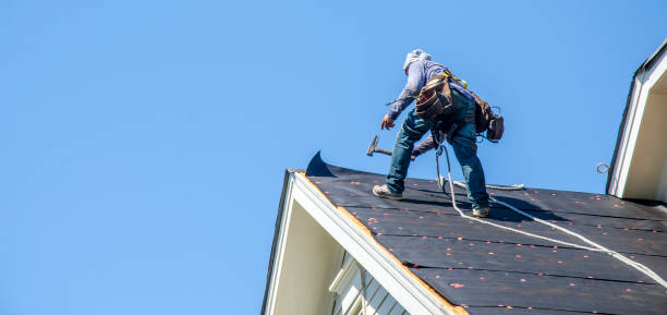 Best Shingle Roofing Installation  in Lexington, NE